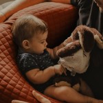 Beaba – Coussin de grossesse et d’allaitement Big Flopsy - Fleur de Coton Terracotta Beaba – Coussin de grossesse et d’allaitement Big Flopsy - Fleur de Coton Terracotta