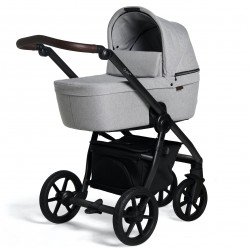 Quax Crooz-2 landau Magnet