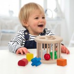 Wonderworld Boîte à Formes Roulantes