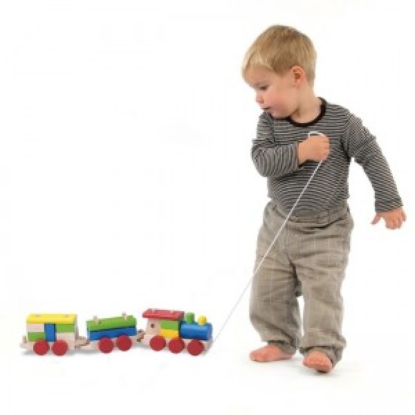 Wonderworld Train à Empiler