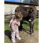 Childhome My First Bag Sac à dos pour enfant - Rose - Cuivre